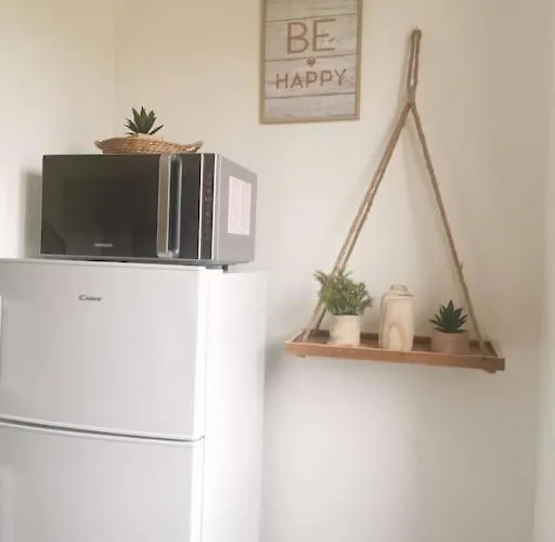 Lejlighed Le Bohemien *studio 30m²*wifi*parking Prive*calme Lourdes